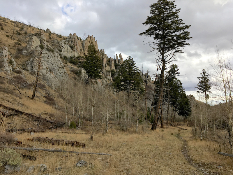 Crooked Creek Mountain Biking Trail Idaho