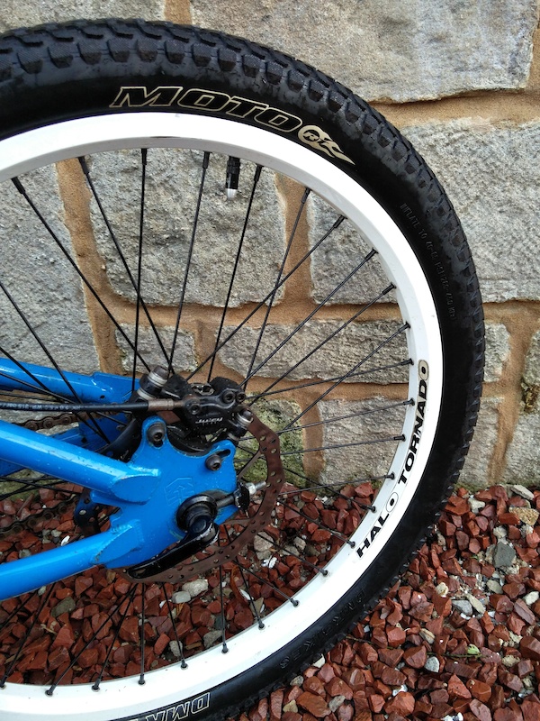 2005 Rare Mongoose Ritual For Sale