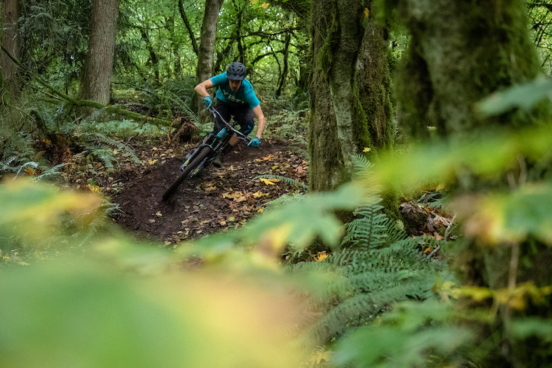 Sumas Mountain Bike Trails | Trailforks