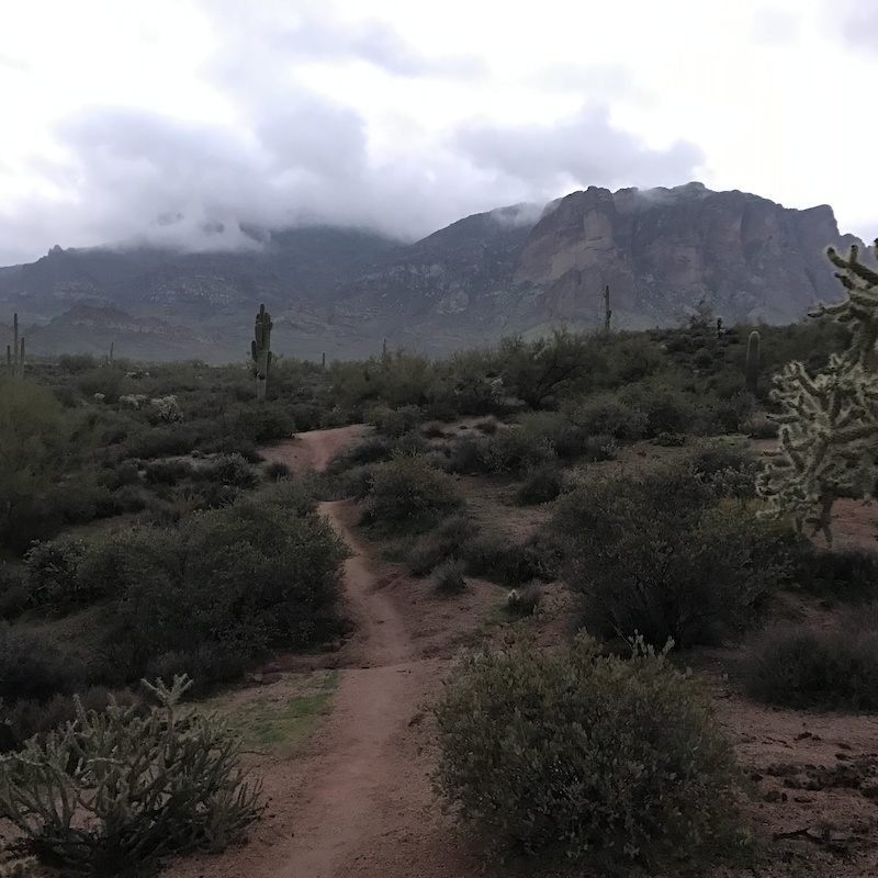 Superstition Massacre Grounds Lower Multi Trail Apache Junction