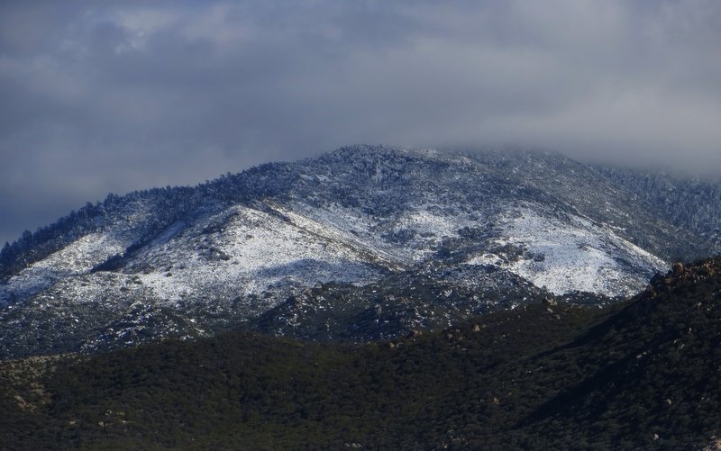 Santa Rosa Mountains north slope.