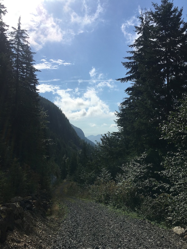 Gold Bar, Washington Mountain Biking Trails Trailforks