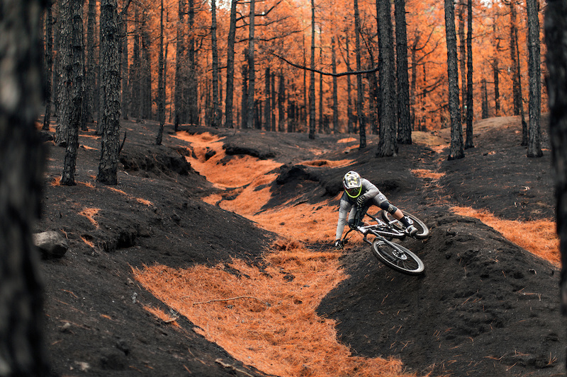 Rémi Thirion finding his way down a burnt forest at La Palma Island.