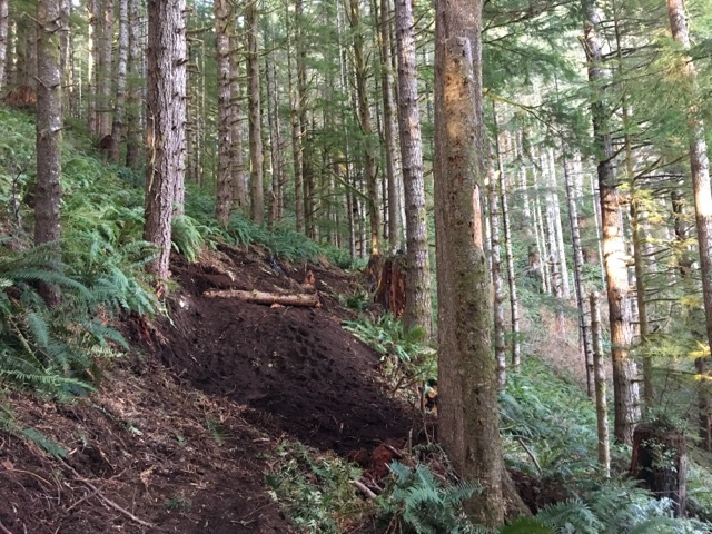 The landing in progress.  The peak be at that notch above the log.  There's a retaining wall made of logs to the right of the peak.