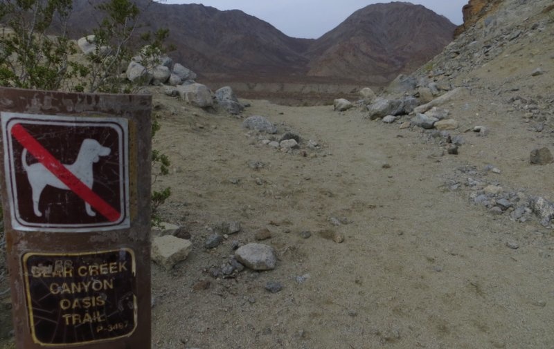 Bear Creek Canyon Oasis Trail Mountain Bike Trail La Quinta