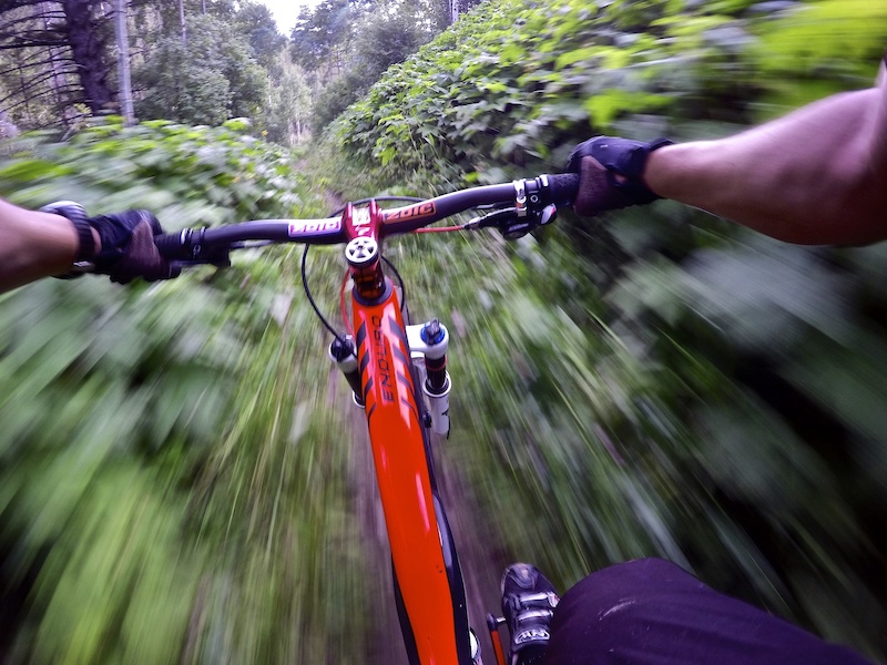 Game Creek Multi Trail Vail Pass, Vail, Colorado