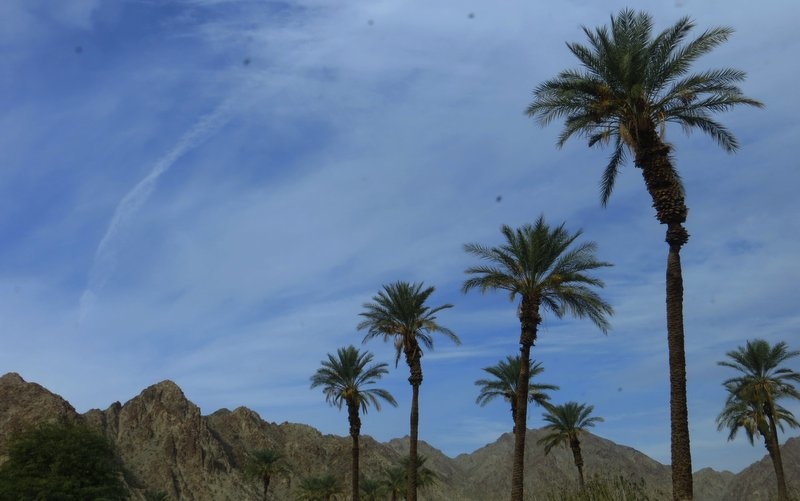 Cove to Lake Trail Mountain Biking Trail La Quinta