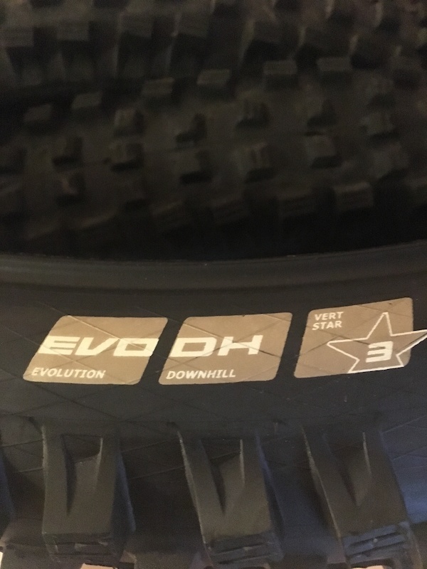 0 DH Tires Schwalbe Magic Mary Bontrager G4