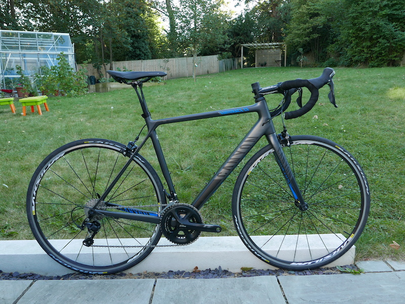 2014 Canyon Endurace CF 8.0 Medium For Sale