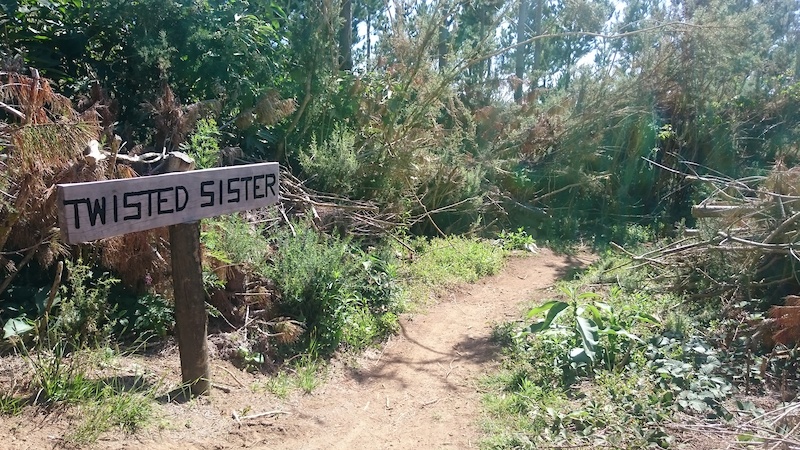 mountain biking new plymouth