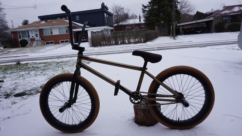 subrosa noster 2