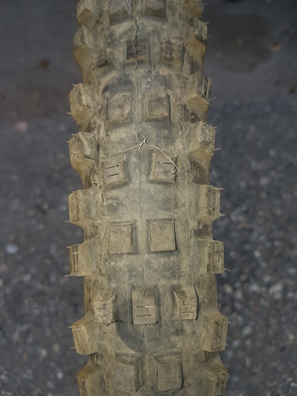 2015 WTB asym i35 wheels w nobby nic tires/rotors