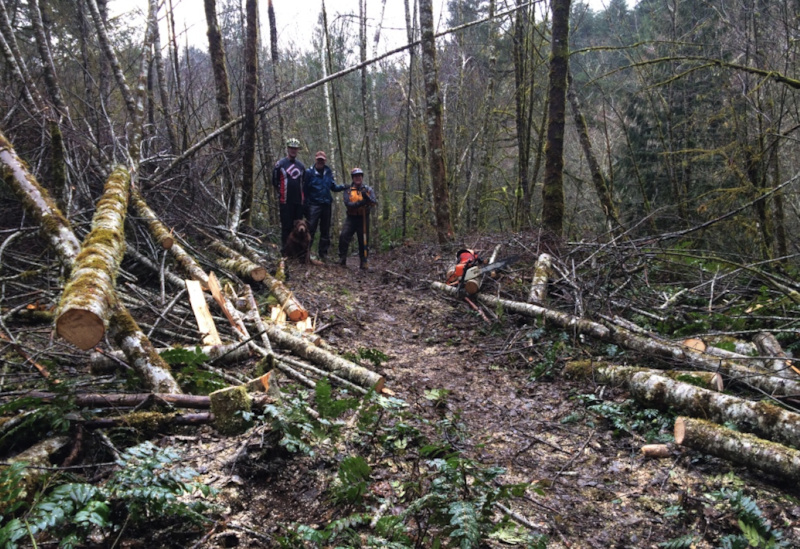 A 4 man crew after untangling mother natures havoc on 2 miles of trail today.