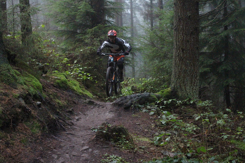 dalby forest mountain biking