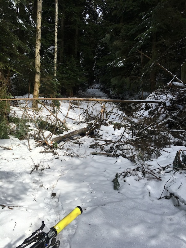Pinch Flat Alley Mountain Biking Trail North Vancouver