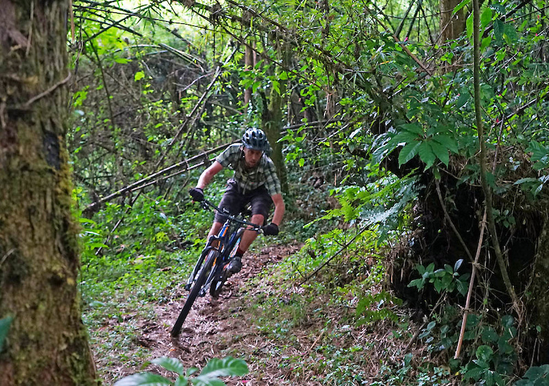 Matt in the bamboo forest on the Camino del Mateo trail. Matt spent a ton of time working on the trail and he knows every corner. It s something of which he s deservedly proud as a father is of a child