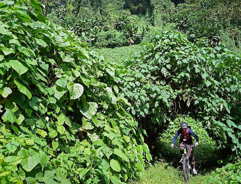 Guatemala Montain Biking
