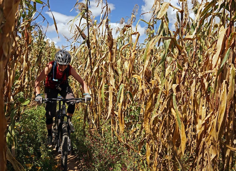 This section was super narrow singletrack where you had watch your bars through corn fields