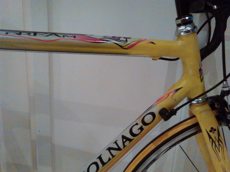 colnago dream soft paint