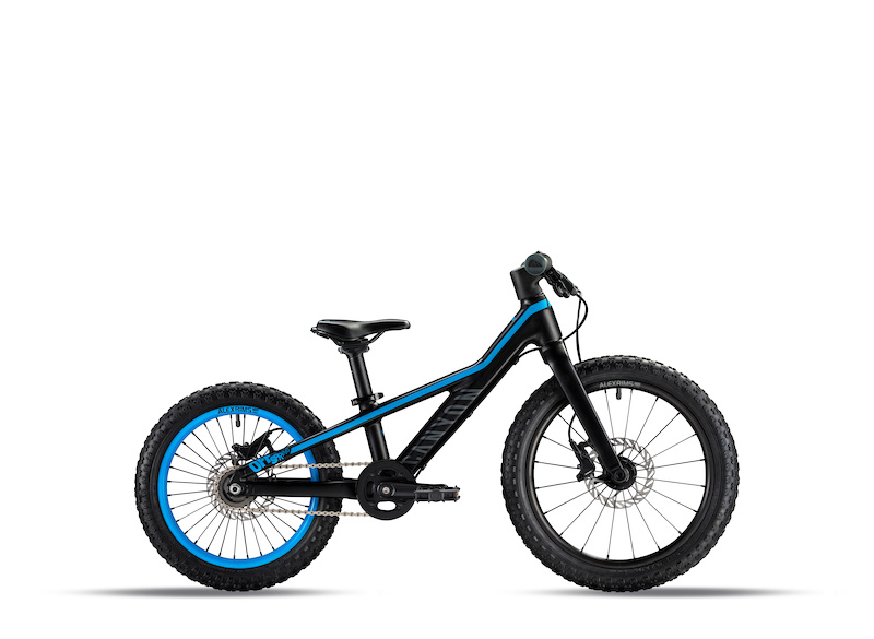 2019 big ripper
