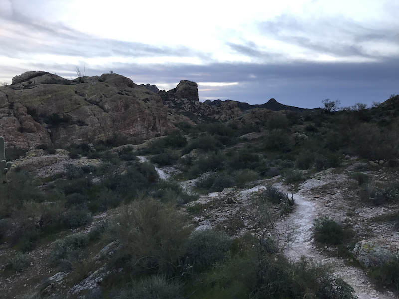 Willow Springs Trail Access Multi Trail Apache Junction