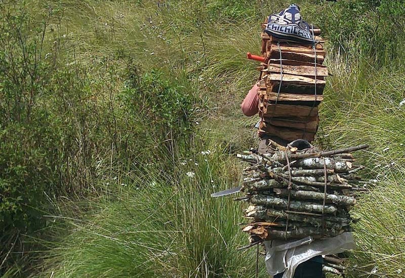 Human transportation for cut firewood Atitlan