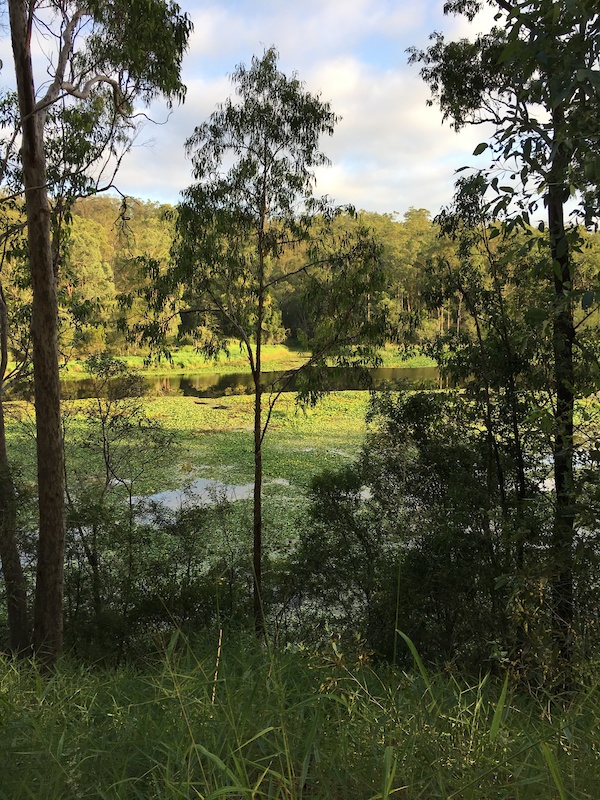 Enoggera Reservoir Track South Multi Trail Brisbane