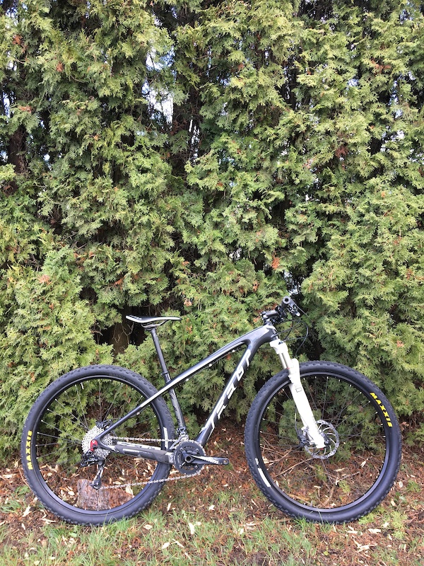 felt nine c hardtail