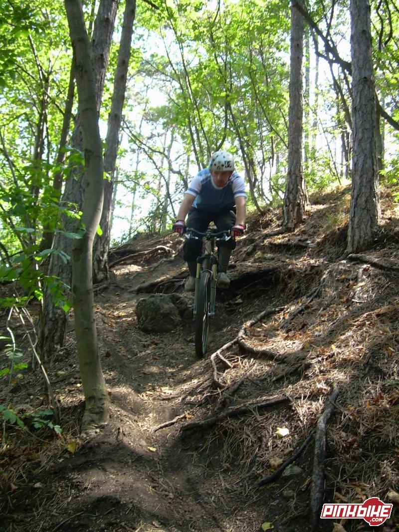On the roots