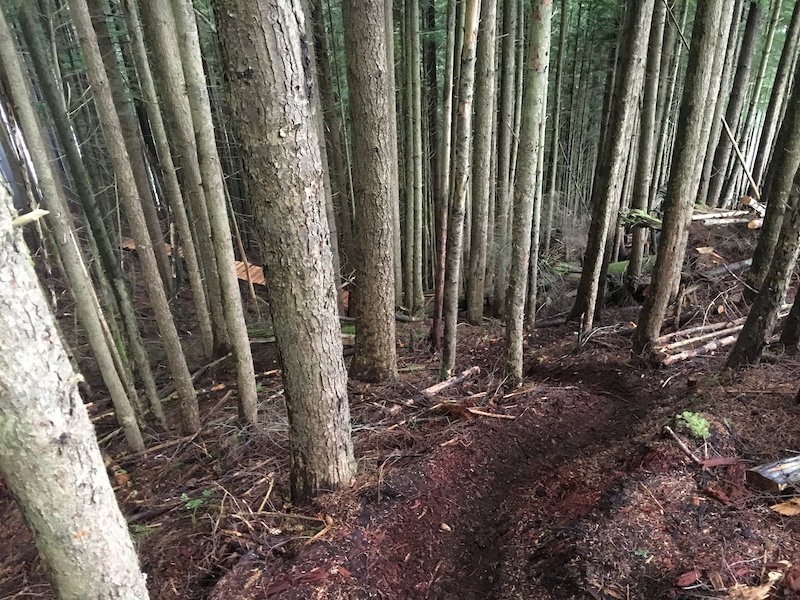 first track on the upper zone.