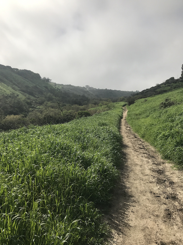 ironbark gully mountain bike trails