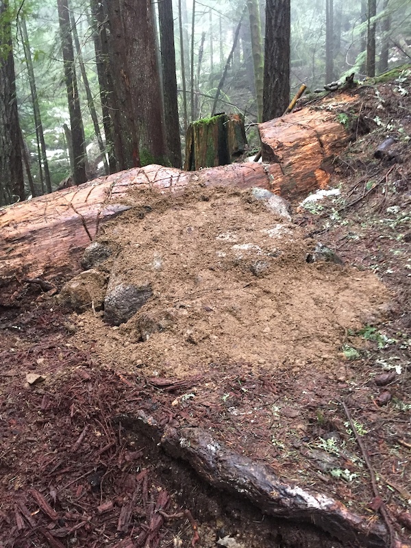 End Hole Connector Mountain Biking Trail - Squamish