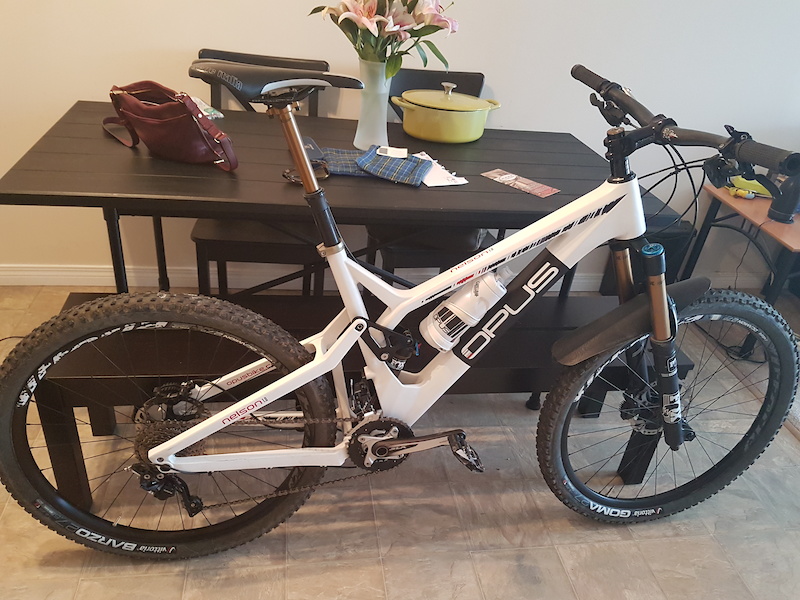 Bike Sales Opus Bikes 2015 2015 Opus Sentiero For Sale