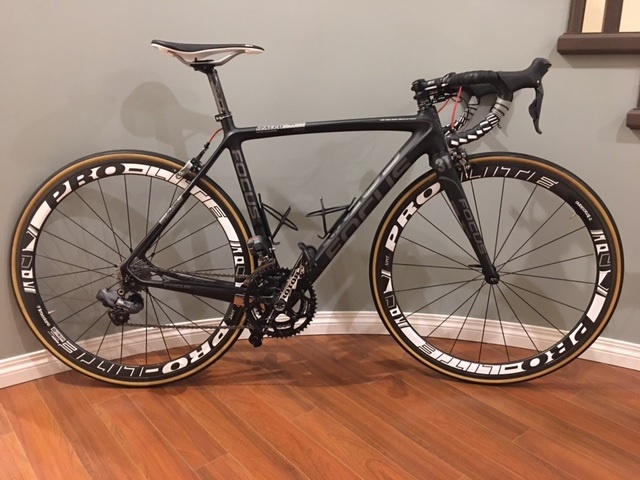 focus izalco funda pro