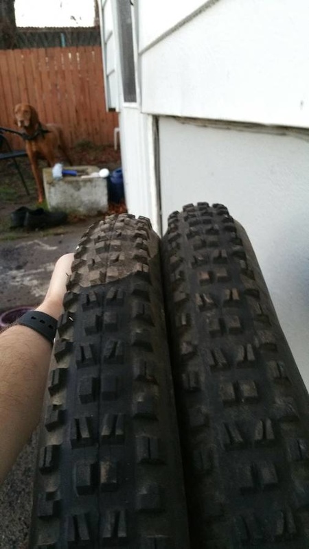 2017 27.5 650b tires Schwalbe and Maxxis