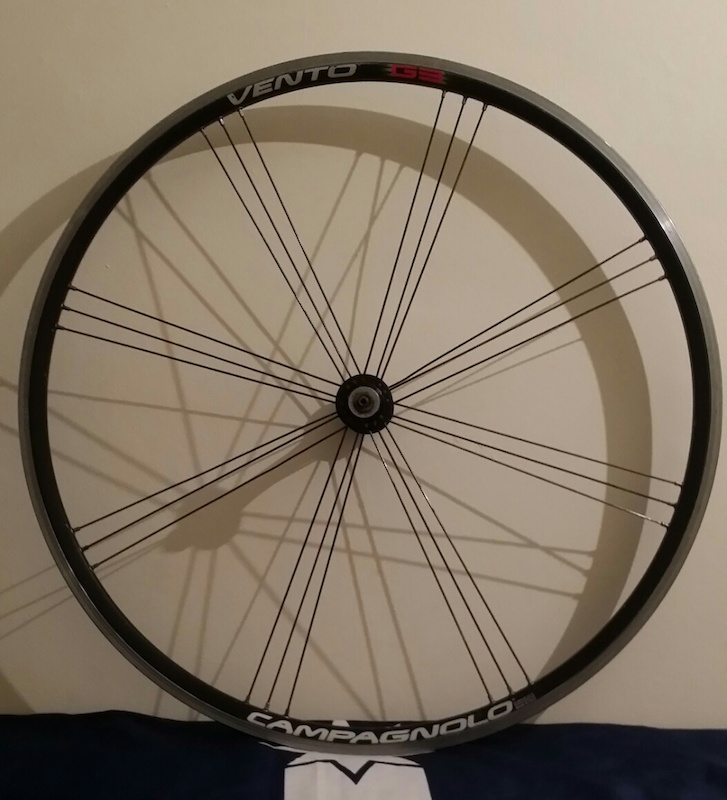 campagnolo fixie