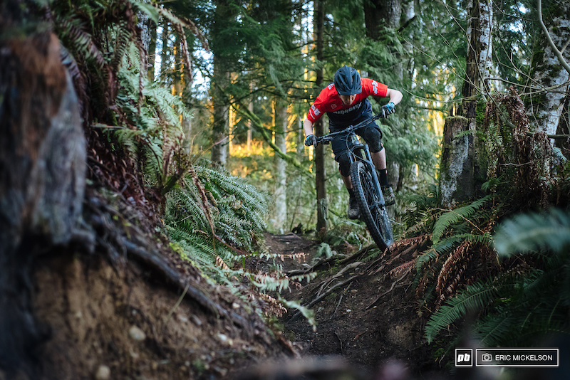 Lair of the Bear Mountain Biking Trail Bellingham