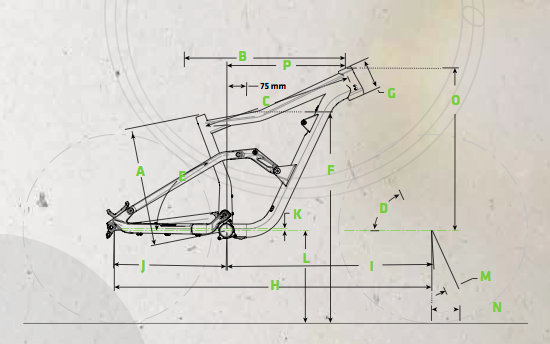 Cannondale Trigger Geometry