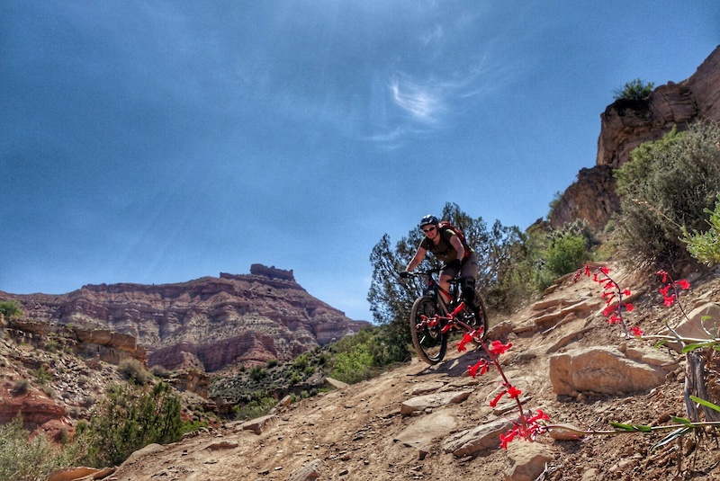 ijams bike trails