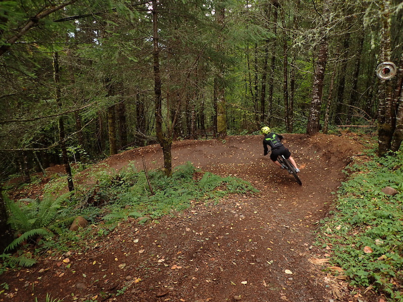 Two Turntables and a Microwave Mountain Biking Trail Sandy