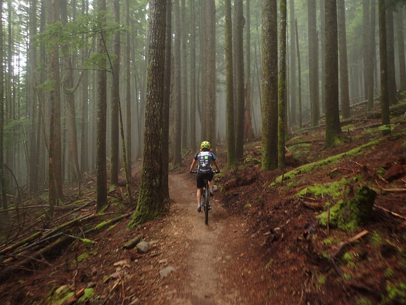 Master Link Mountain Bike Trail Issaquah, Washington