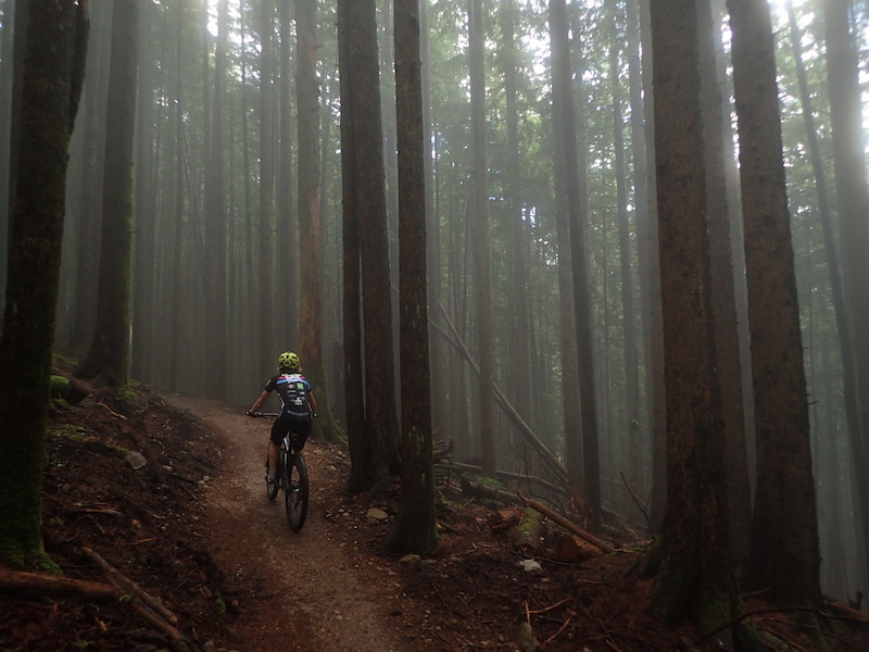 Master Link Mountain Bike Trail Issaquah, Washington