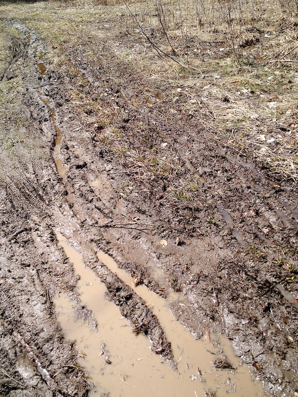 Carriage Trail Multi Trail Saratoga Springs, New York