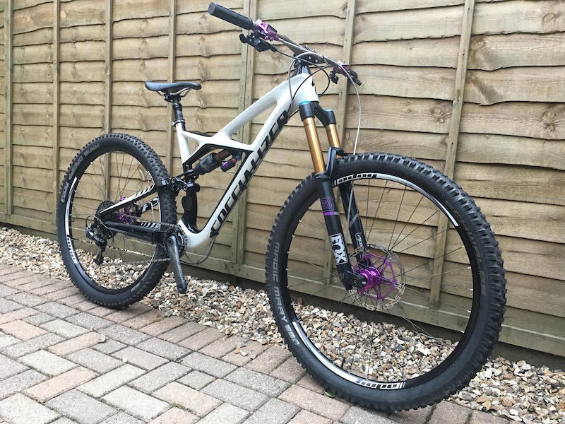 2010 specialized enduro expert