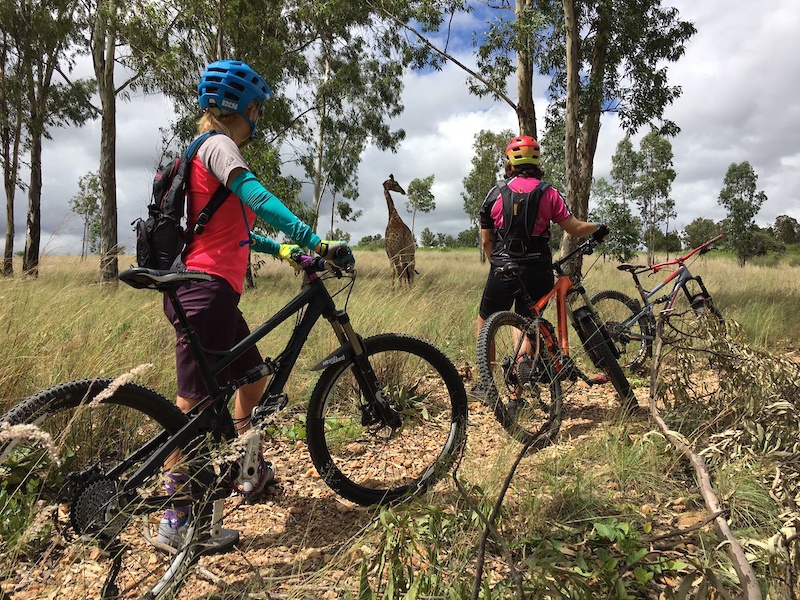 Morning ride. Stopped to check out the giraffe!
#gravitygirls #MTBSA