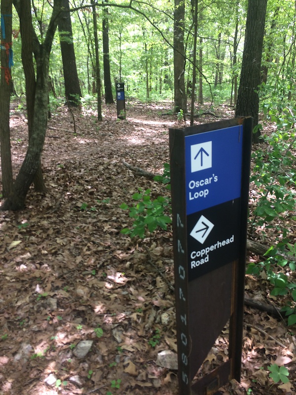 Copperhead Road Mountain Biking Trail Bentonville