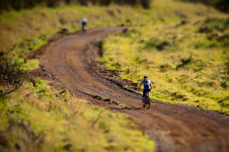 Mana Road Mountain Bike Trail Hilo, HI Trailforks