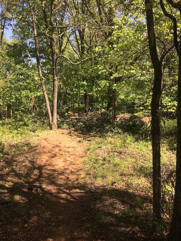 Rocking Horse Mountain Biking Trail Bentonville, AR