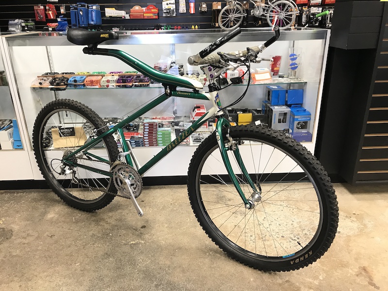 Vintage Breezer Beamer Large For Sale