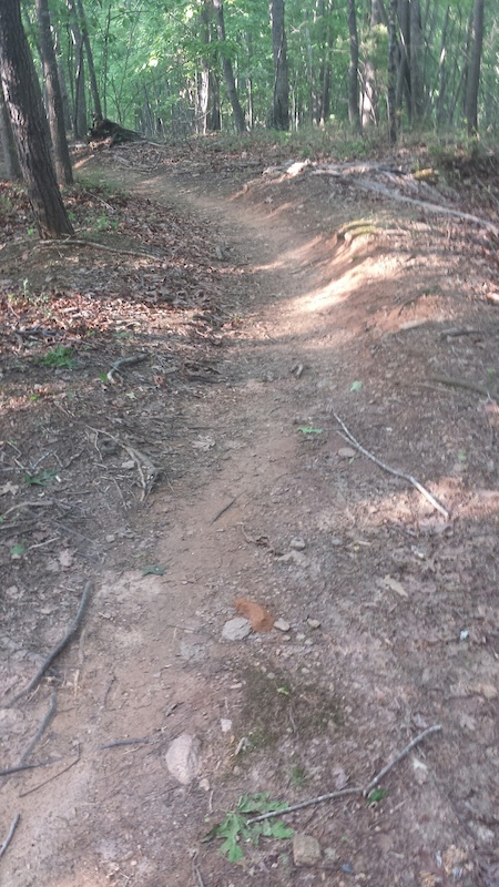 chicopee mountain bike trails